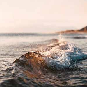 Meet your Posher, Natalia